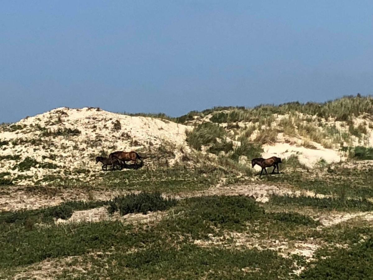 Sommerhaus Glucklich Am Meer 2 Mit Wellnesszugang Egmond aan Zee Exterior foto